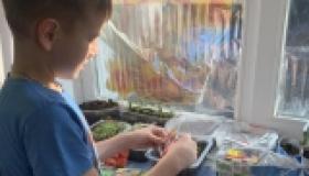  Первые шаги в садоводстве: старт программы «Теплица»!